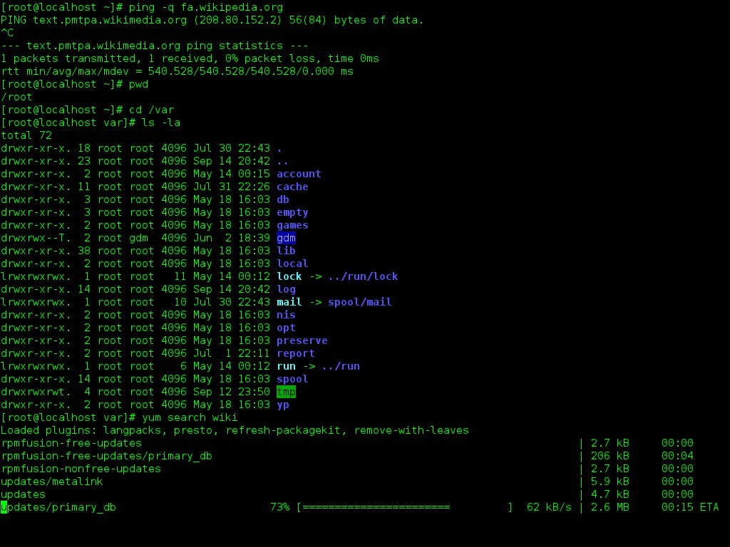 Dark GNOME Terminal window showing a Bash prompt and command output